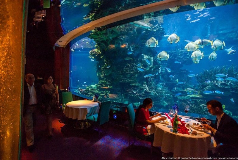 Подводный ресторан в Дубае