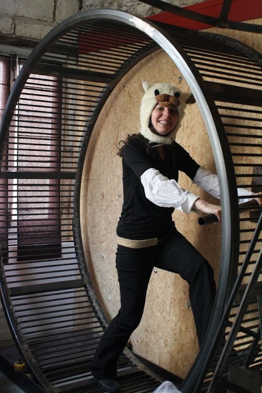 La Villa Hamster, отель только для «хомяков» (Франция) La Villa Hamster, отель только для «хомяков» (Франция)