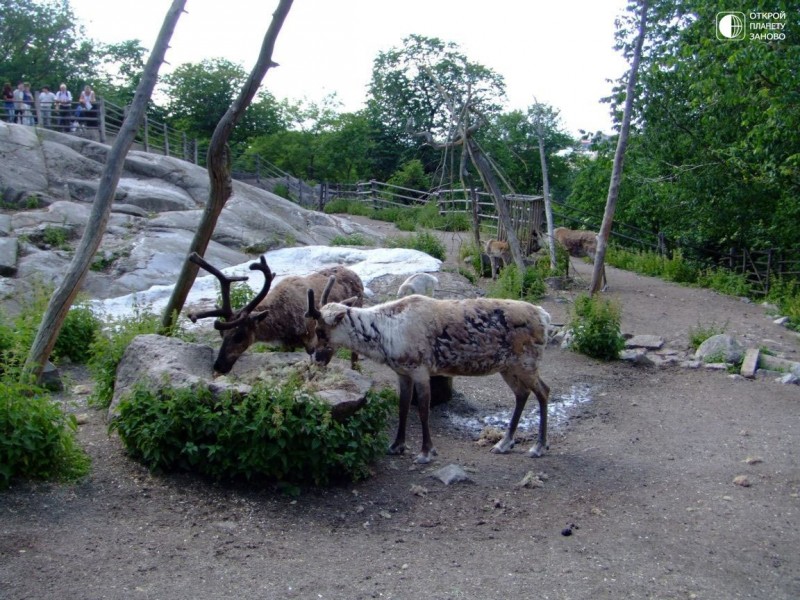 Швеция в «табакерке»