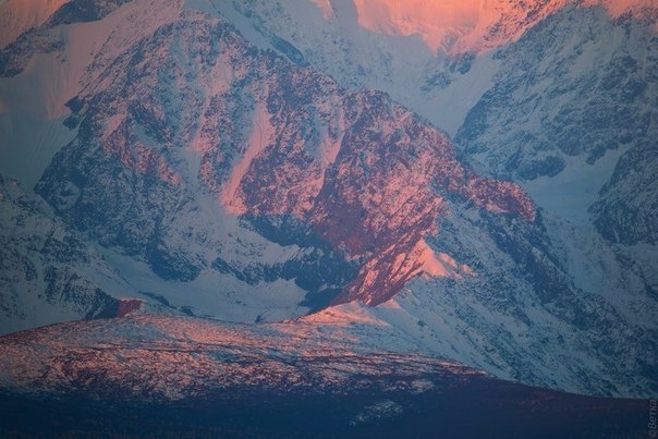 Рассвет на Северо-Чуйском хребте, Горный Алтай, Россия