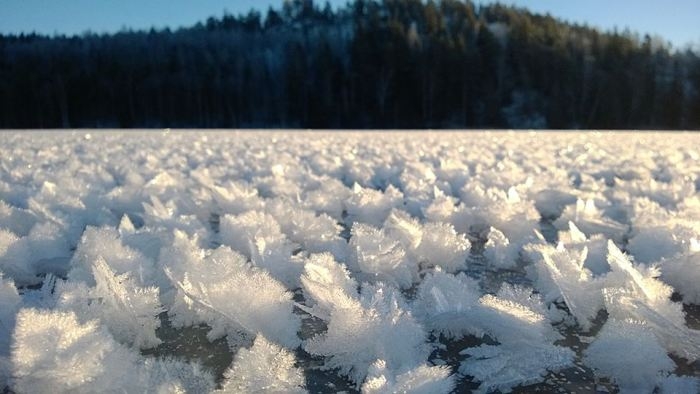 Ледяные цветы на замерзшем озере