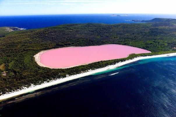 Озеро Хиллер — самое необычное озеро в Австралии, главной особенностью которого является яркий розов