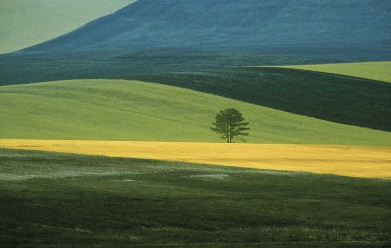 Пейзажи итальянского фотографа Франко Фонтана Пейзажи итальянского фотографа Франко Фонтана