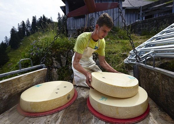 Как производят известный на весь мир швейцарский сыр Грюйер