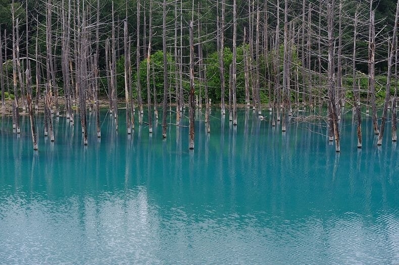 Голубой пруд (Blue Pond), Хоккайдо, Япония.