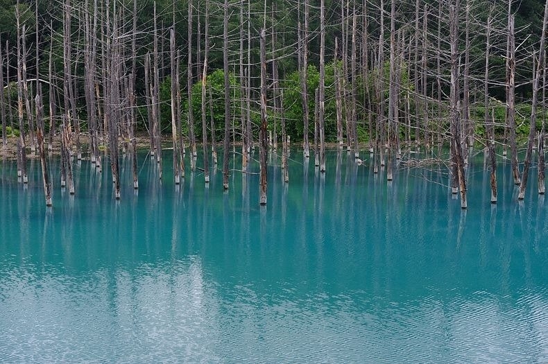 Голубой пруд (Blue Pond), Хоккайдо, Япония. Голубой пруд (Blue Pond), Хоккайдо, Япония.