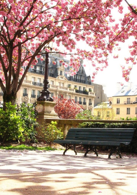 Весенний Париж очарователен.