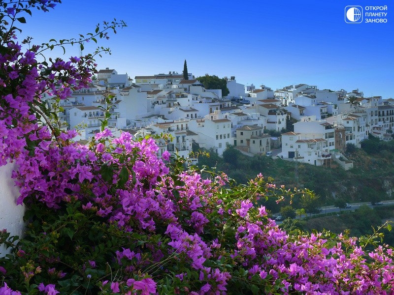 Белый цветущий городок Фрихилиана. Испания