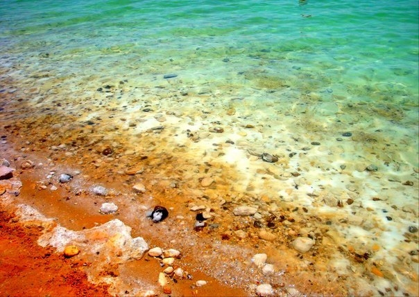 Осолоневшая красота мертвого моря