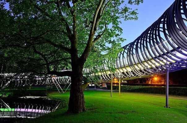Пешеходный мост Slinky Springs To Fame. Пешеходный мост Slinky Springs To Fame.