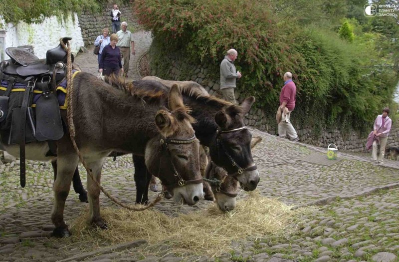 Кловелли (Clovelly) — маленькая рыбацкая деревня. Девон, Англия