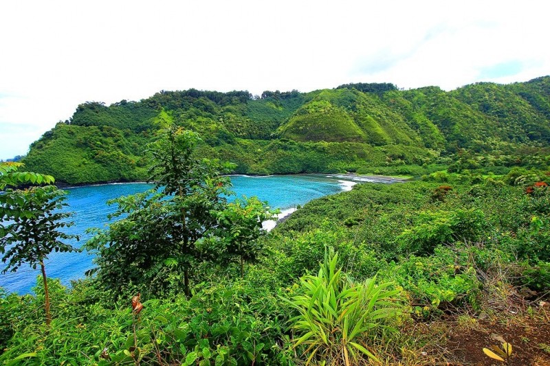 Тропические сады острова Мауи