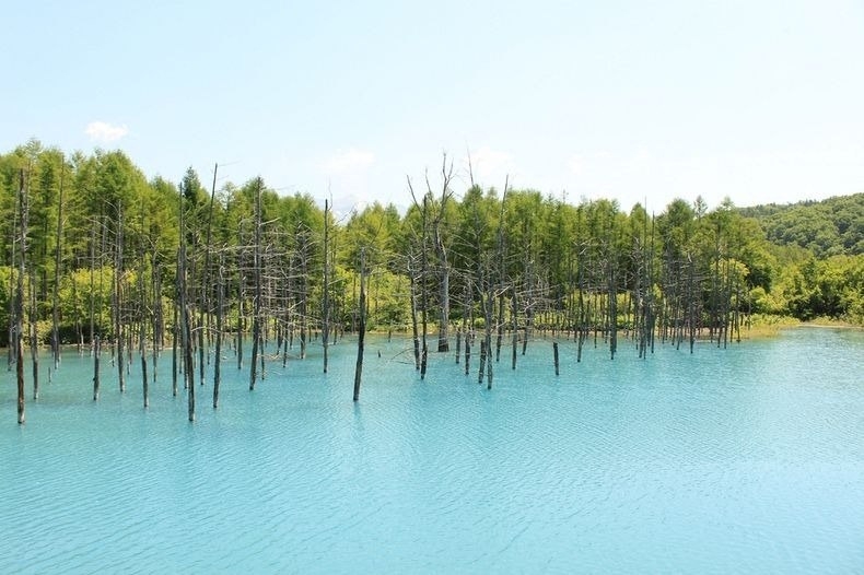 Голубой пруд (Blue Pond), Хоккайдо, Япония.