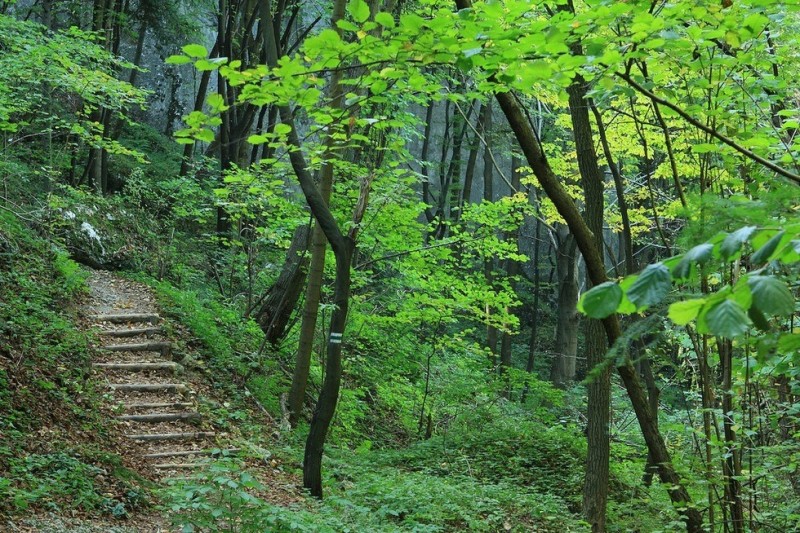 Ойцовский парк, Польша