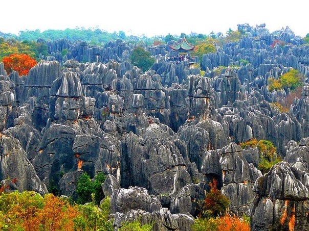 Застывший в камне: карстовый лес Шилинь в Китае