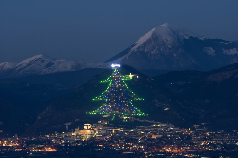Самая большая в мире рождественская елка