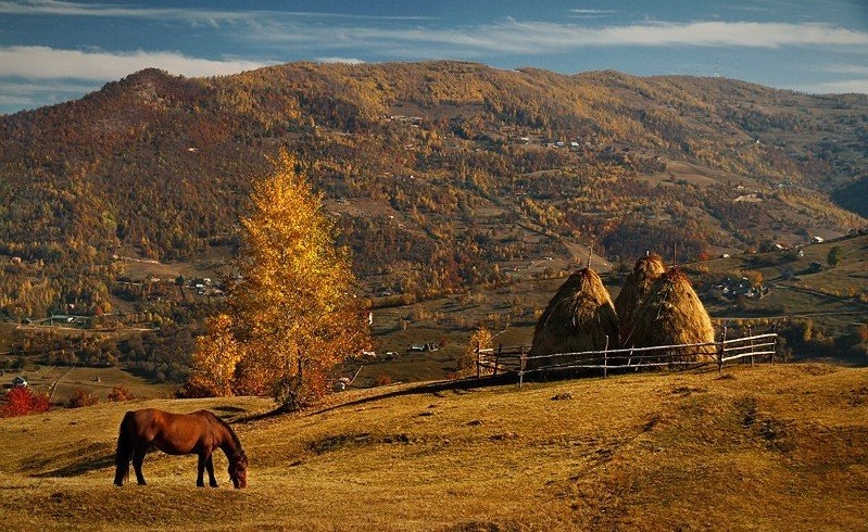 Осень в Западно-Румынских горах