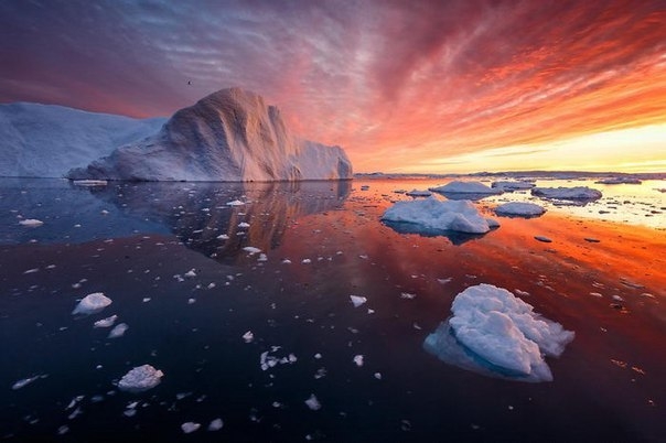 По-настоящему чарующие фотографии льдов Гренландии