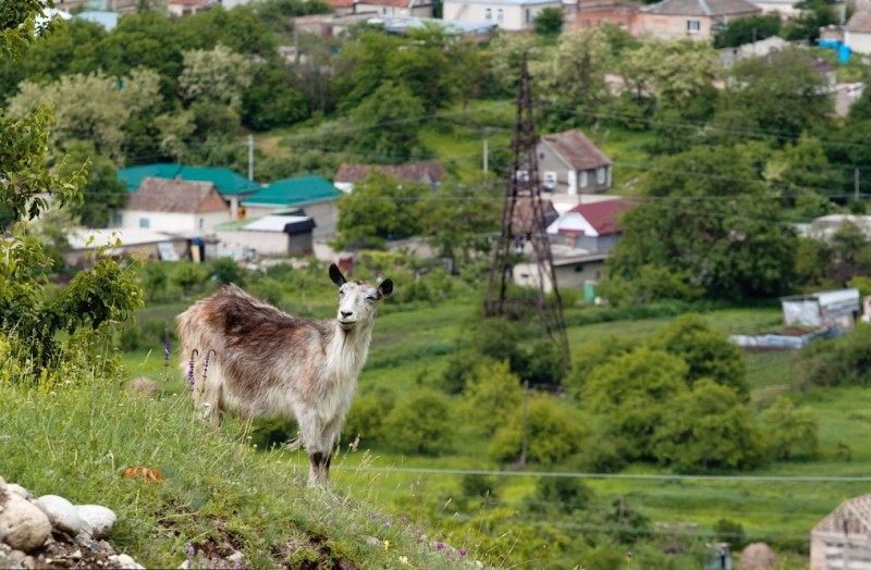 Красота природы Кавказа