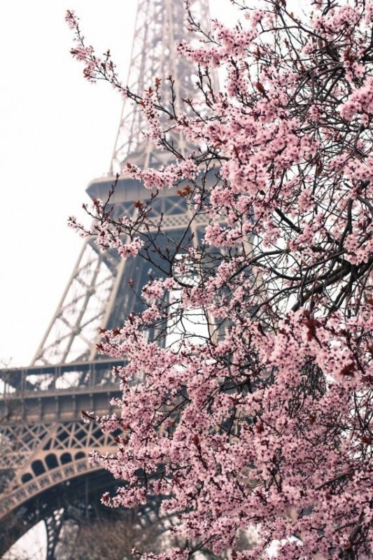 Весенний Париж очарователен.