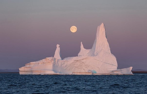 По-настоящему чарующие фотографии льдов Гренландии