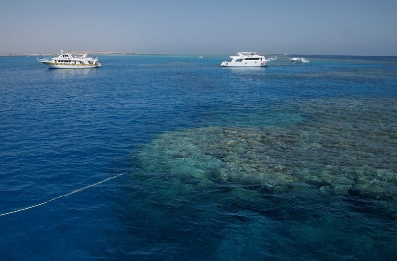 Красное море Красное море
