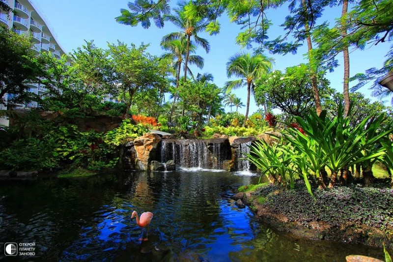 Остров Мауи - Эдемский сад