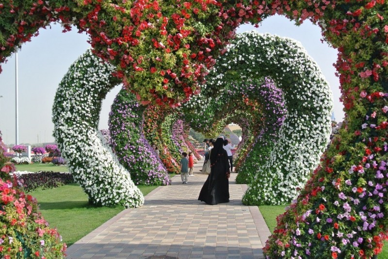 Dubai Miracle Garden: чудо-сад на песках (АОЭ)