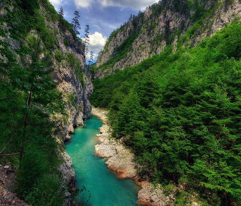 Река Тара в парке Дурмитор, Черногория