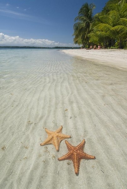 Бока-дель-Драго - пляж морских звезд