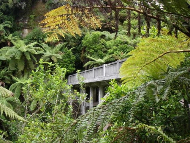 Мост в никуда. Новая Зеландия