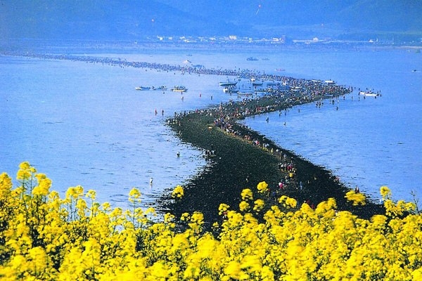 Расступившееся Желтое море Расступившееся Желтое море
