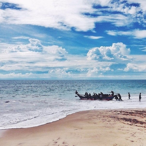 Живописные пляжи острова Шри-Ланка.