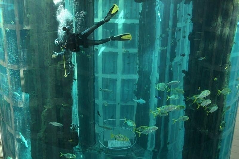 AquaDom AquaDom