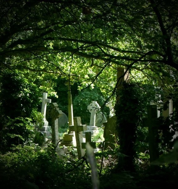 Мистическое Хайгейтское кладбище