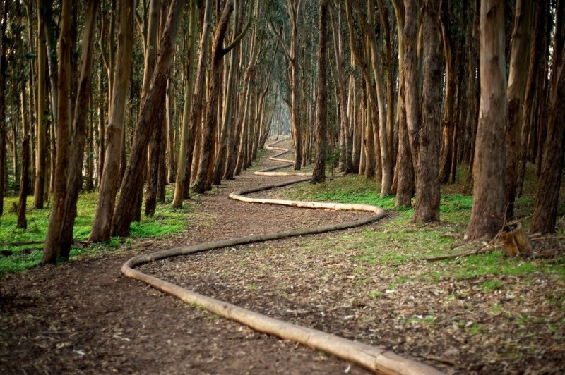 Природный арт Andy Goldsworthy