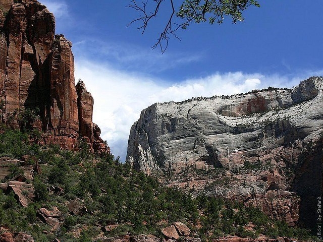 Сионский национальный парк (Зайон), Юта, США 3