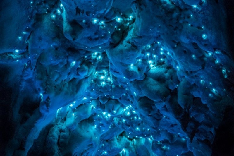 Невероятное свечение пещеры в Новой Зеландии. В чем же секрет?