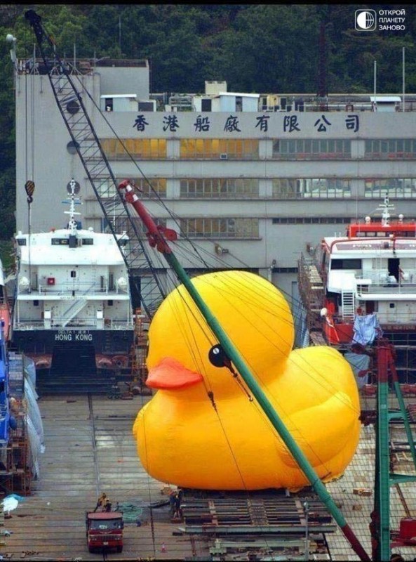 Огромная надувная утка приплыла в Гонгконг.