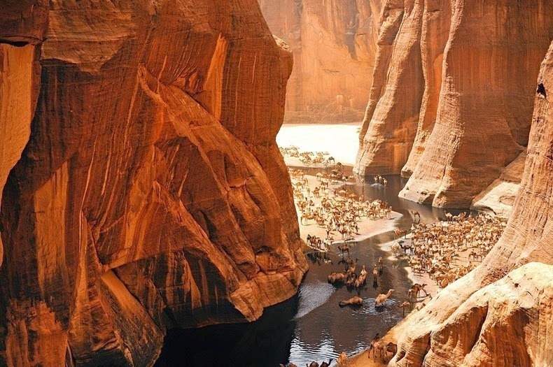 Удивительное место в центре пустыни Сахара