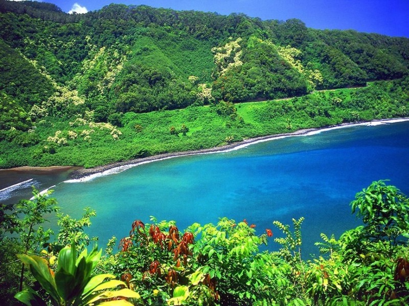 Потрясающие сады острова Мауи, Гавайский архипелаг