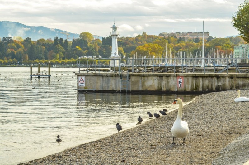 Женева. Слияние рек Рона (Rhône) и Арв (Arve). 1 Женева. Слияние рек Рона (Rhône) и Арв (Arve). 1