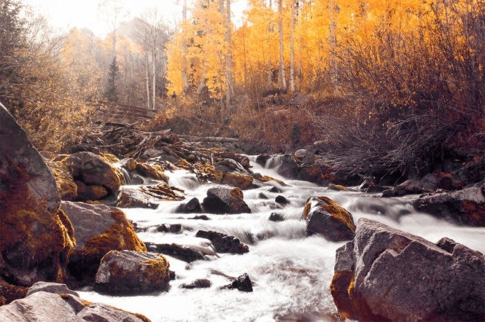 Путешествие по Колорадо: 10 великолепных пейзажных фотографий, вызывающих эйфорию