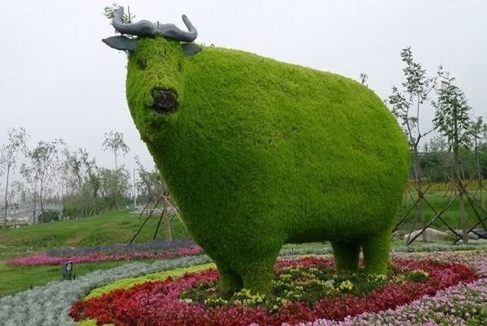 Невероятные животные из цветов в Китае