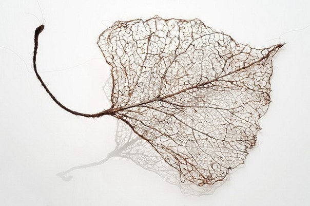 Скульптуры листьев из человеческих волос