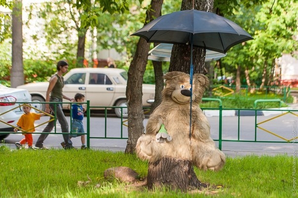 Необычные «плюшевые» дворы