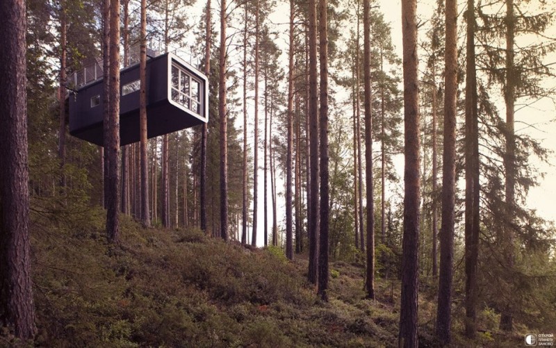 Лесной отель в Швеции