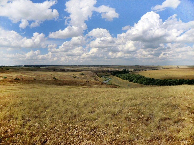 Кальмиусский заповедник.