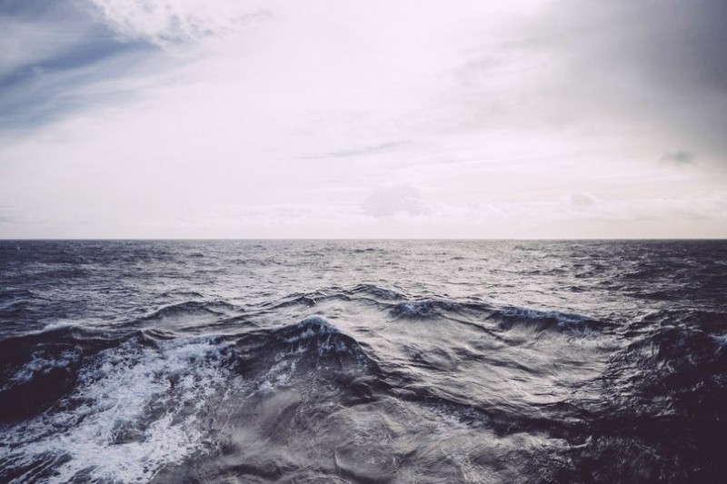 Холодная Антарктика...