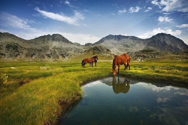 Национальный парк Пирин, Болгария